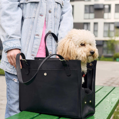 Gifts for Pet Owners