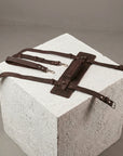 Blanket Carrier Strap