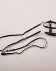 Dog Harness with Leash