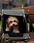 Pet Carrier Classic