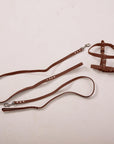 Dog Harness with Leash