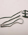 Dog Harness with Leash