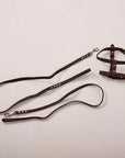 Dog Harness with Leash
