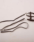 Dog Harness with Leash