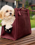 Dog Travel Bag