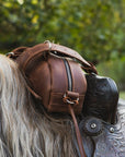 Horse Saddle Bag Leather