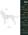 Dog Harness with Leash