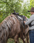 Saddle Phone Bag