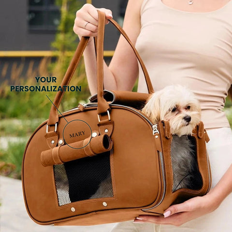 Pet Carrier Classic