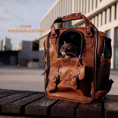 Leather Pet Backpack