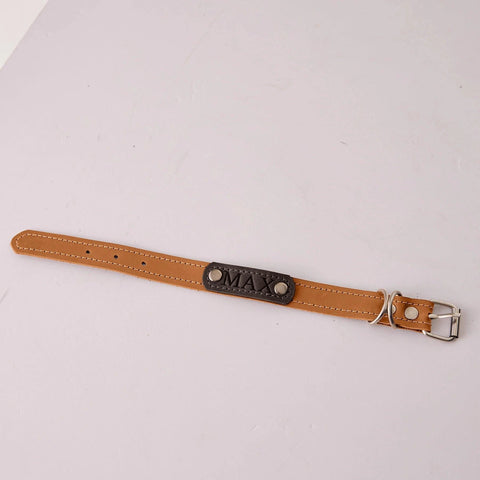 Personalized Leather Dog Collar