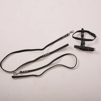 Dog Harness with Leash