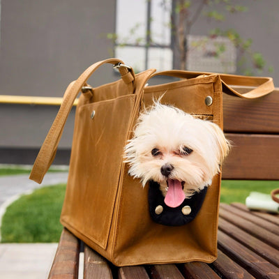 dog tote travel bag Leather Dog Travel Bag - Handcrafted Pet Travel Bag