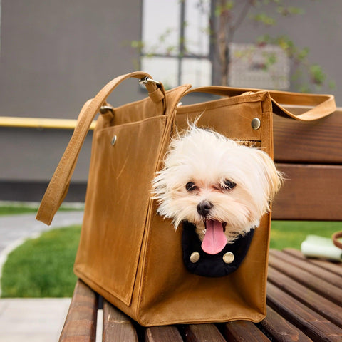 Leather Dog Travel Bag