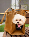 Leather Dog Travel Bag