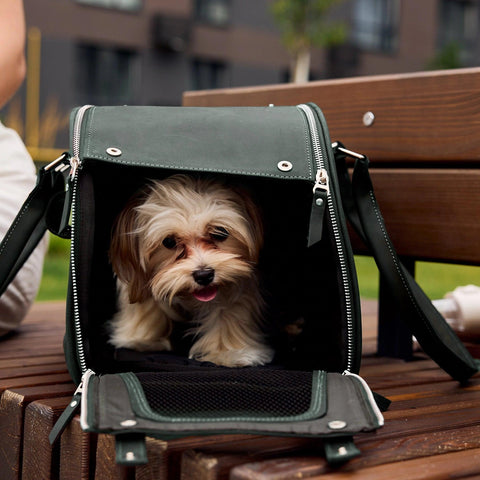 Leather Dog Carrier Bag