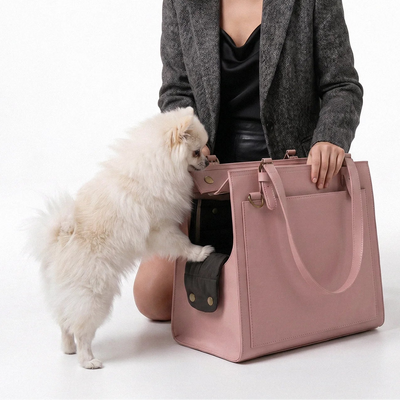 Dog Travel Bag