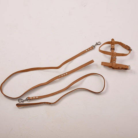 Leather Dog Harness with Leash