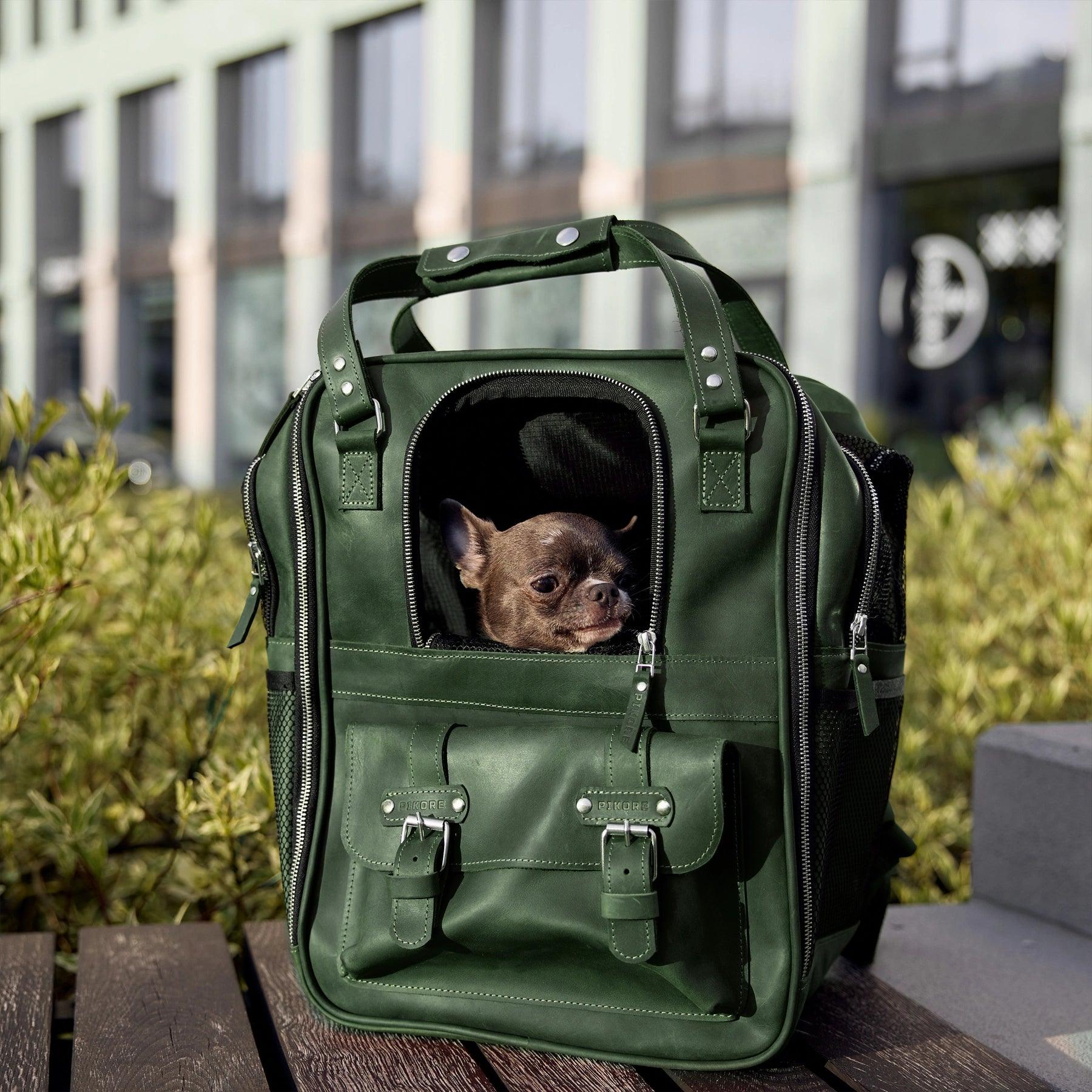 Leather Pet Backpack