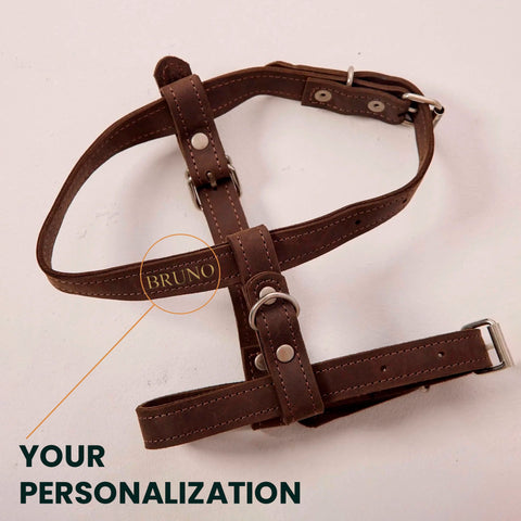 Leather Dog Harness with Leash