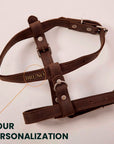 Leather Dog Harness with Leash