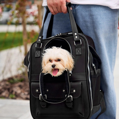 Leather Pet Backpack