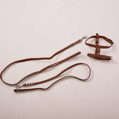 Dog Harness with Leash