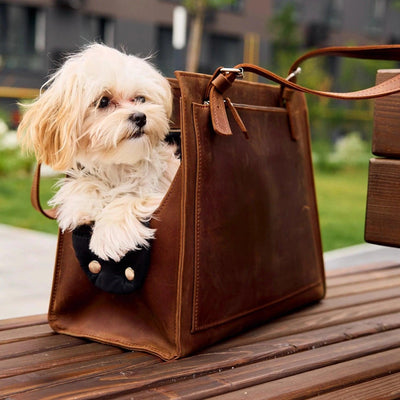 Dog Travel Bag