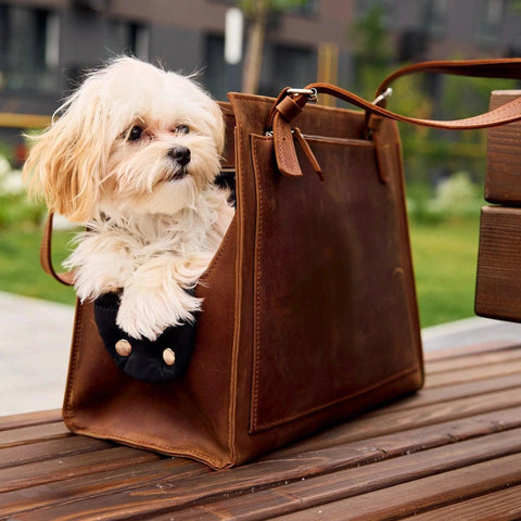 Leather Dog Travel Bag