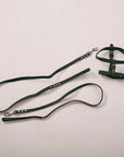 Dog Harness with Leash