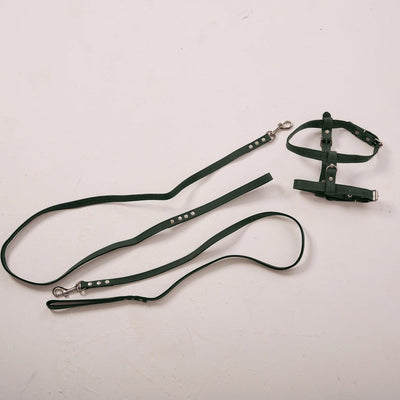 Dog Harness with Leash