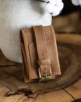 Harmonica Case