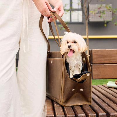 Dog Travel Bag