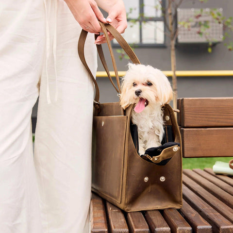 Leather Dog Travel Bag