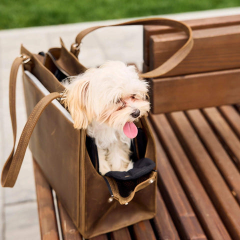 Leather Dog Travel Bag