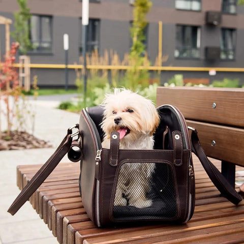 Leather Dog Carrier Bag