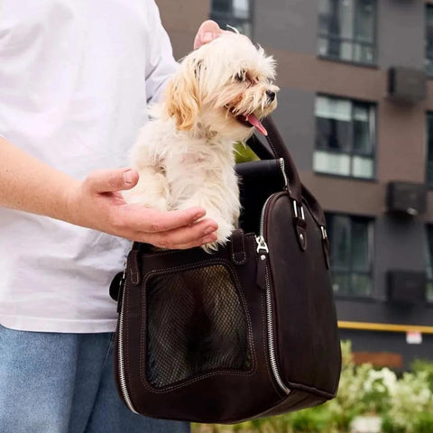 Leather Dog Carrier Bag