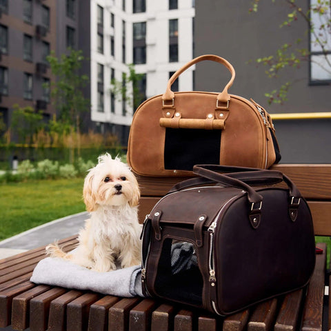 Leather Dog Carrier Bag