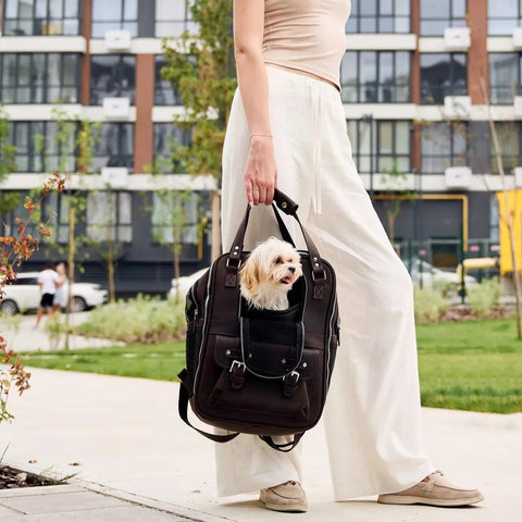 Leather Pet Backpack