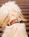 Personalized Leather Dog Collar