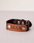 Personalized Leather Dog Collar