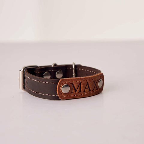 Personalized Leather Dog Collar