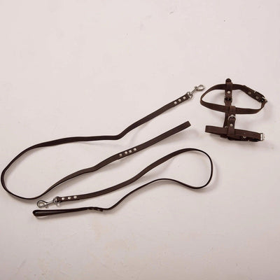 Dog Harness with Leash