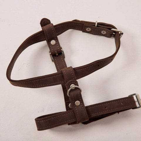 Leather Dog Harness with Leash