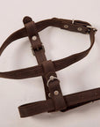 Leather Dog Harness with Leash