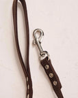 Dog Harness with Leash