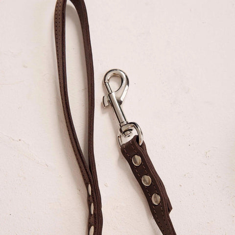 Leather Dog Harness with Leash