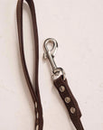 Leather Dog Harness with Leash