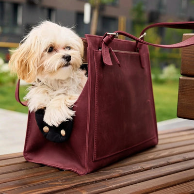Dog Travel Bag