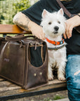 Leather Dog Travel Bag